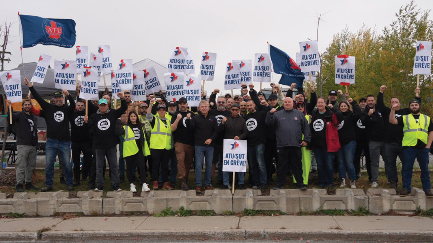 In-Transit Article Photo