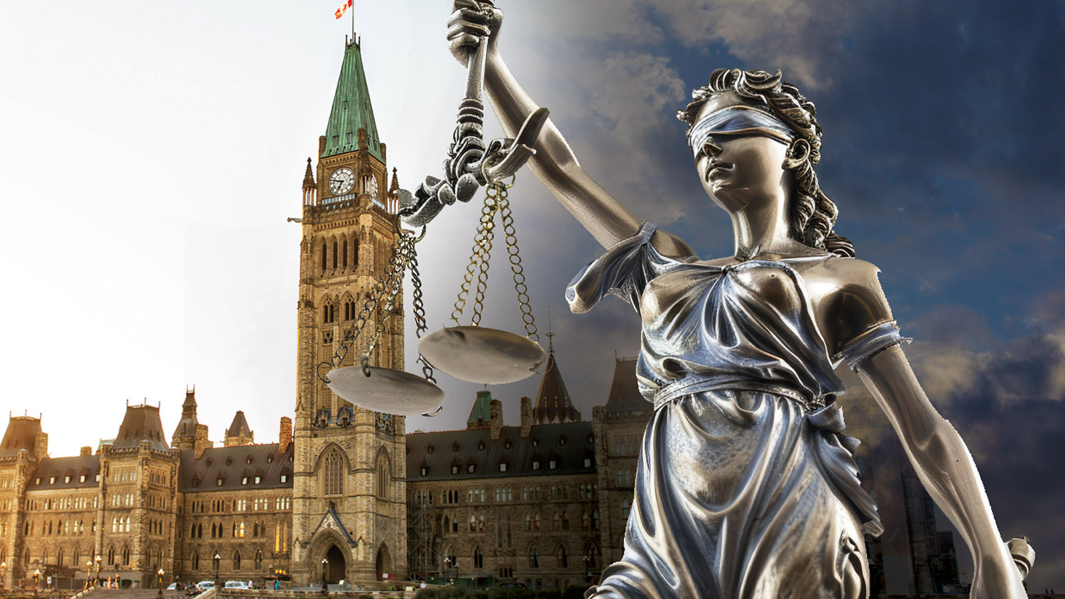 In-Transit Article Photo