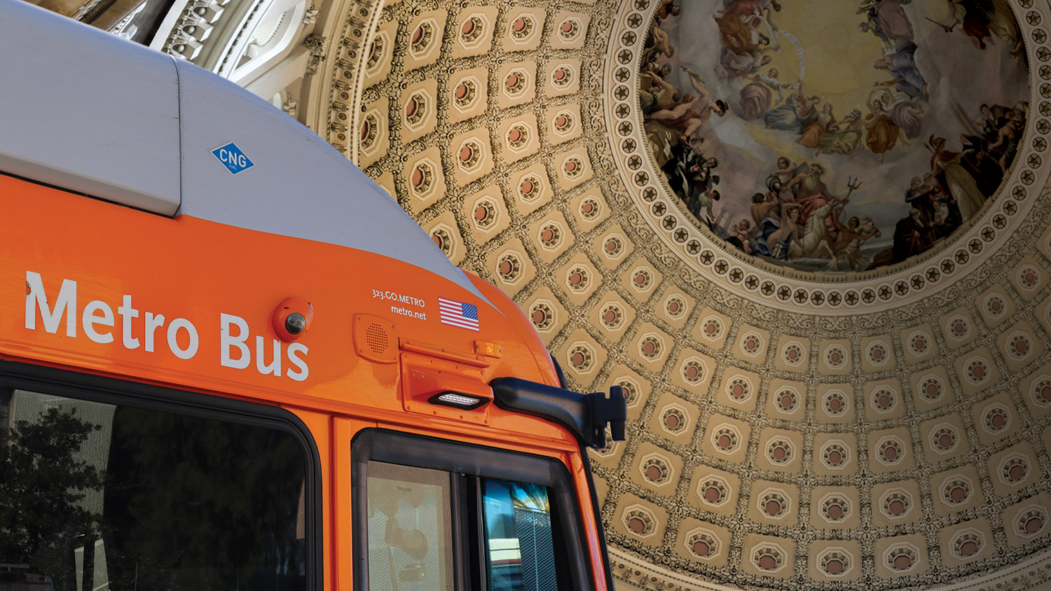 In-Transit Article Photo